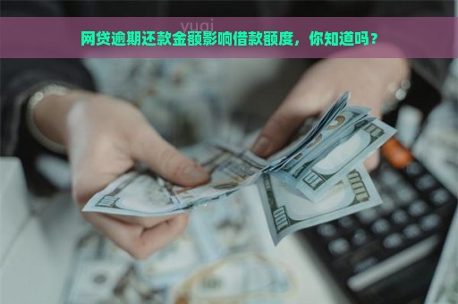 网贷逾期还款金额影响借款额度，你知道吗？