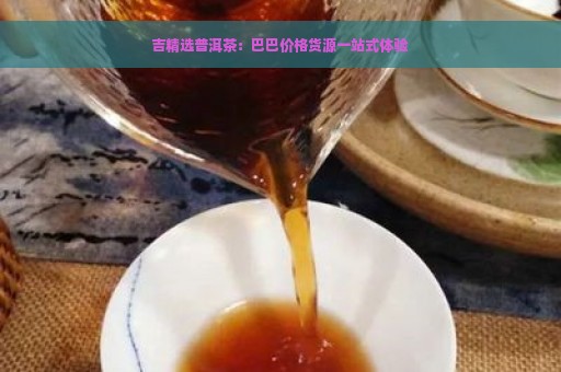 吉精选普洱茶：巴巴价格货源一站式体验