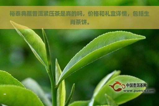 裕泰典藏普洱紧压茶是真的吗，价格和礼盒详情，包括生肖茶饼。