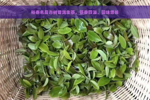 裕泰名品古树普洱生茶，茶香四溢，回味悠长