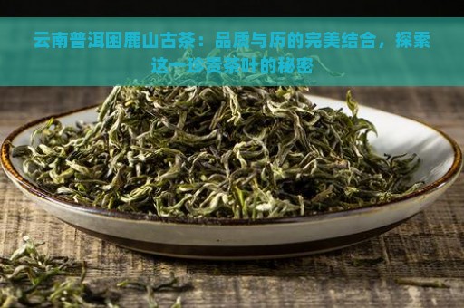 云南普洱困鹿山古茶：品质与历的完美结合，探索这一珍贵茶叶的秘密