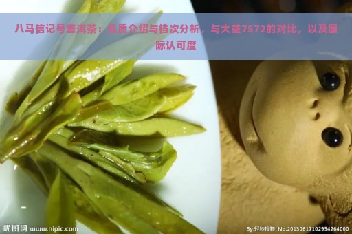 八马信记号普洱茶：品质介绍与档次分析，与大益7572的对比，以及国际认可度