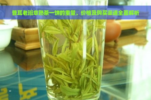 普耳老班章熟茶一饼的重量、价格及购买渠道全面解析