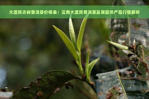 大渡岗古树普洱茶价格表：云南大渡岗普洱茶发展股份产品行情解析