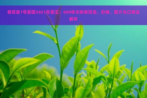 老班章1号茶园2021年茶王：600年古树老班章，价格、简介与口感全解析