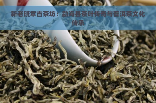 新老班章古茶坊：勐海县茶叶传奇与普洱茶文化传承