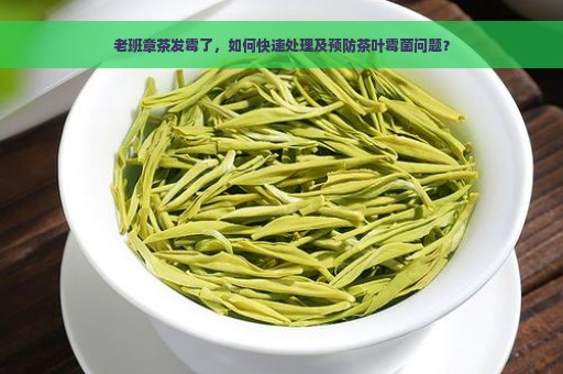 老班章茶发霉了，如何快速处理及预防茶叶霉菌问题？