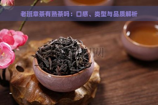 老班章茶有熟茶吗：口感、类型与品质解析