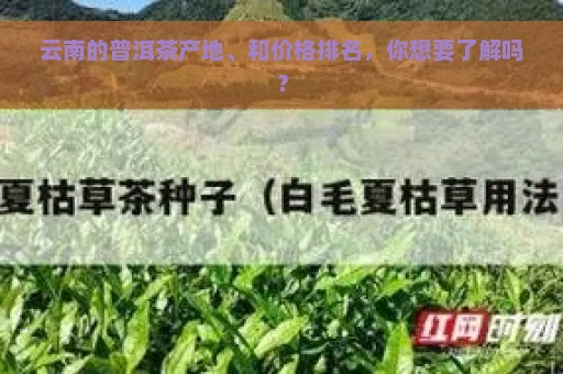 云南的普洱茶产地、和价格排名，你想要了解吗？