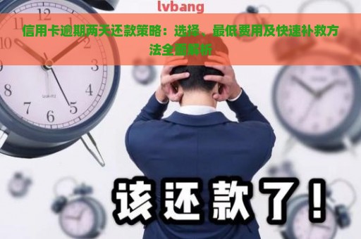 信用卡逾期两天还款策略：选择、最低费用及快速补救方法全面解析