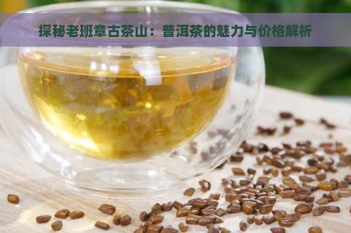 探秘老班章古茶山：普洱茶的魅力与价格解析