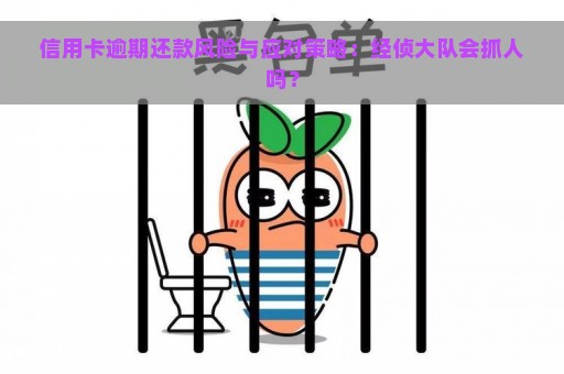 信用卡逾期还款风险与应对策略：经侦大队会抓人吗？