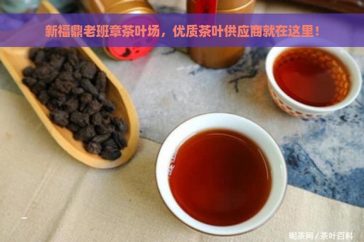 新福鼎老班章茶叶场，优质茶叶供应商就在这里！