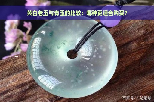 黄白老玉与青玉的比较：哪种更适合购买？