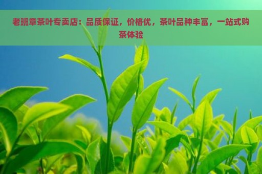 老班章茶叶专卖店：品质保证，价格优，茶叶品种丰富，一站式购茶体验