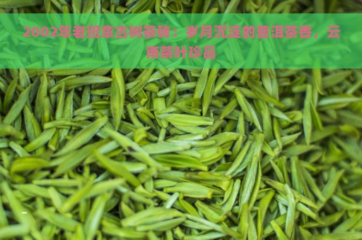 2002年老班章古树茶砖：岁月沉淀的普洱茶香，云南茶叶珍品