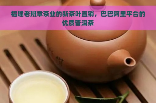 福建老班章茶业的新茶叶直销，巴巴阿里平台的优质普洱茶