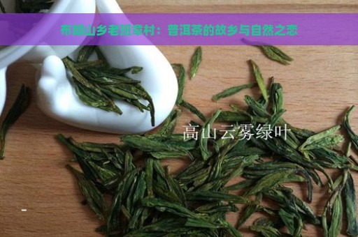 布朗山乡老班章村：普洱茶的故乡与自然之恋