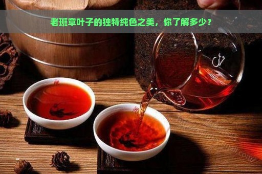 老班章叶子的独特纯色之美，你了解多少？