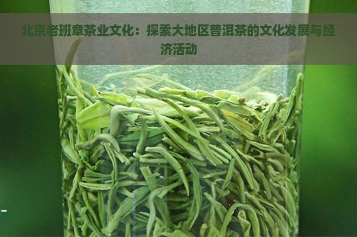 北京老班章茶业文化：探索大地区普洱茶的文化发展与经济活动