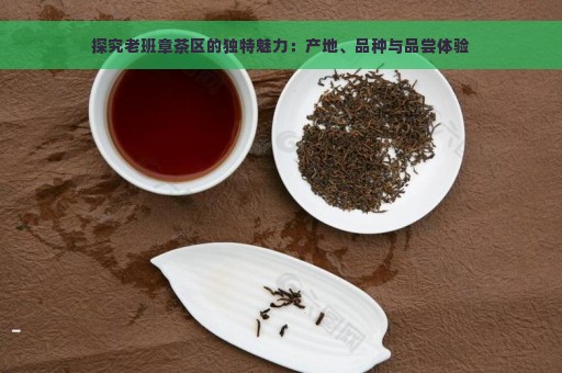 探究老班章茶区的独特魅力：产地、品种与品尝体验