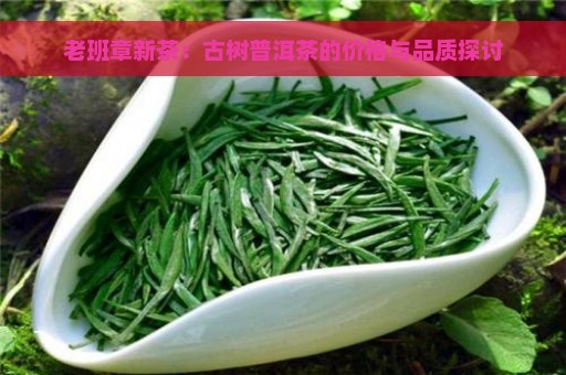 老班章新茶：古树普洱茶的价格与品质探讨