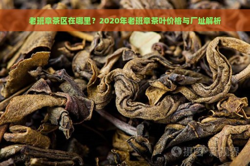 老班章茶区在哪里？2020年老班章茶叶价格与厂址解析