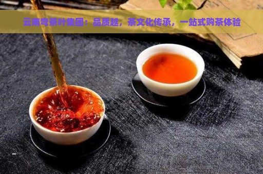 云南弯茶叶集团：品质越，茶文化传承，一站式购茶体验