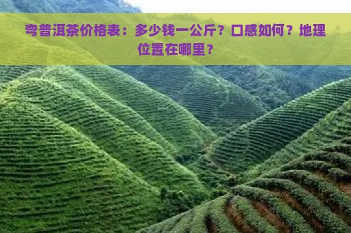 弯普洱茶价格表：多少钱一公斤？口感如何？地理位置在哪里？