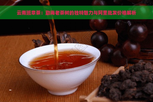 云南班章茶：勐海老茶树的独特魅力与阿里批发价格解析