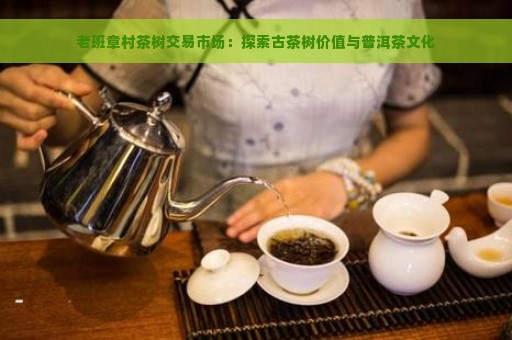 老班章村茶树交易市场：探索古茶树价值与普洱茶文化