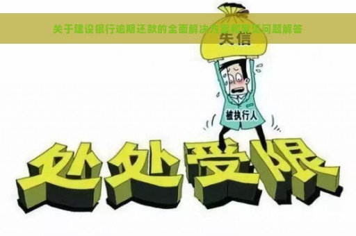 关于建设银行逾期还款的全面解决方案和常见问题解答