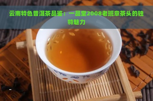 云南特色普洱茶品鉴：一品堂2008老班章茶头的独特魅力