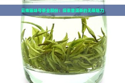 云南臻味号茶业股份：探索普洱茶的无限魅力