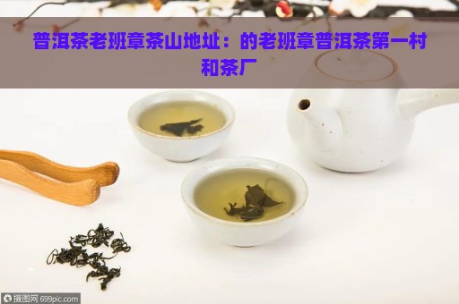 普洱茶老班章茶山地址：的老班章普洱茶第一村和茶厂