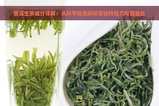 普洱生茶成分详解：从科学角度解析其独特魅力与健益处