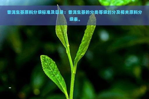 普洱生茶原料分级标准及目录：普洱生茶的分类等级划分及相关原料分级表。