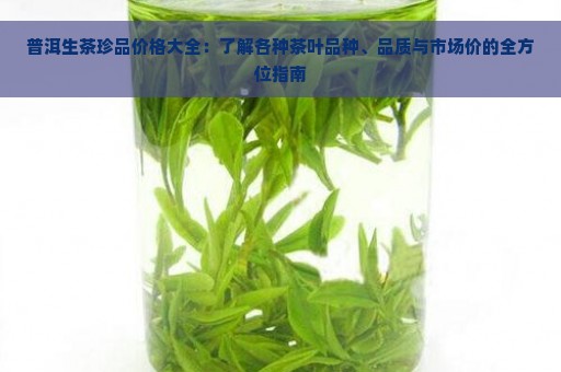 普洱生茶珍品价格大全：了解各种茶叶品种、品质与市场价的全方位指南