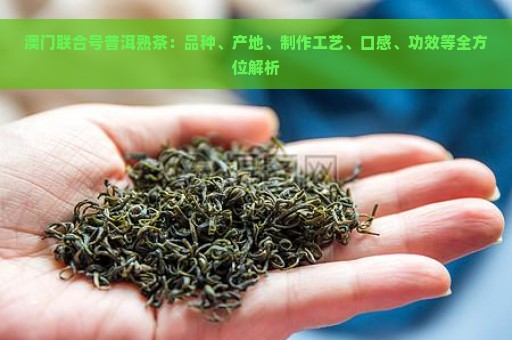 澳门联合号普洱熟茶：品种、产地、制作工艺、口感、功效等全方位解析