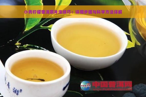 小青柠檬普洱茶冲泡技巧：详细步骤与科学方法详解