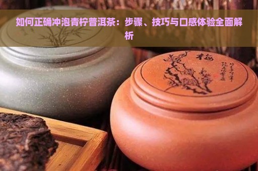 如何正确冲泡青柠普洱茶：步骤、技巧与口感体验全面解析