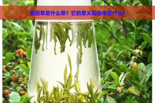 老班章是什么茶？它的意义和由来是什么？