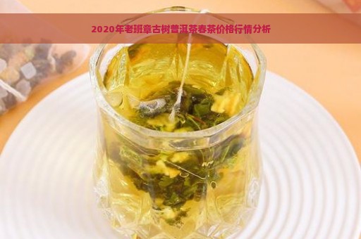 2020年老班章古树普洱茶春茶价格行情分析