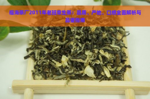 福海茶厂2011年老班章生茶：品质、产地、口感全面解析与品鉴指南