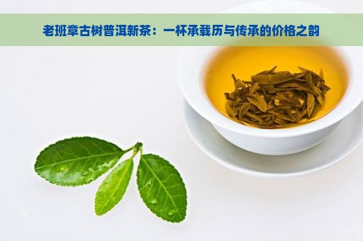 老班章古树普洱新茶：一杯承载历与传承的价格之韵