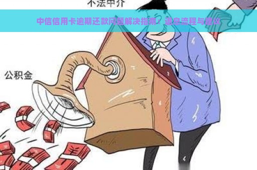 中信信用卡逾期还款问题解决指南：退息流程与建议