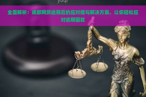 全面解析：成都网贷逾期后的应对措与解决方案，让你轻松应对逾期困扰