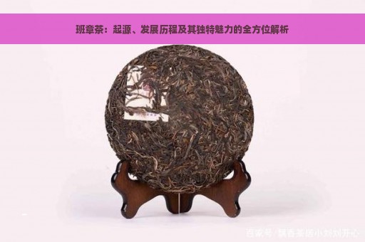 班章茶：起源、发展历程及其独特魅力的全方位解析