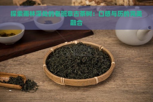 探索雨林深处的老班章古茶树：口感与历的完美融合