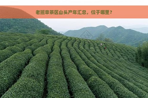 老班章茶区山头产年汇总，位于哪里？